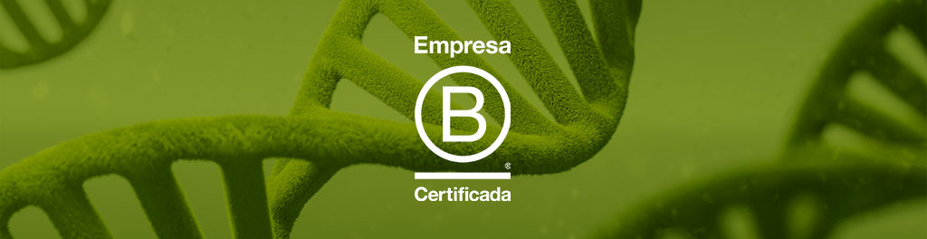 logo do sistema b em frente a um fundo esverdeado, o sistema é importante para empresas que adotam a agenda esg
